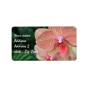 Orange Orchids Label