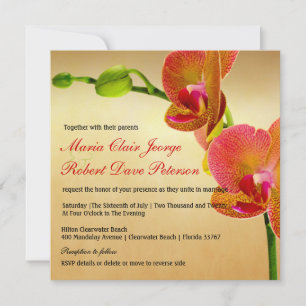 Orange Orchids Tropical Beach Destination Wedding Invitation