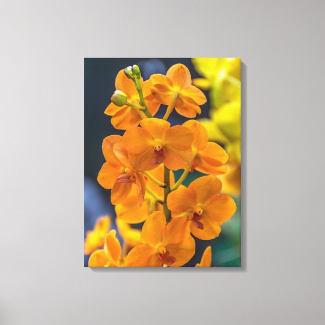 Orange orchids up close canvas print (Front)
