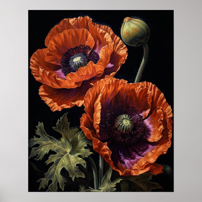 Orange Oriental Poppy Flowers Art Print Poster (Front)