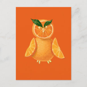 Orange owl postcard