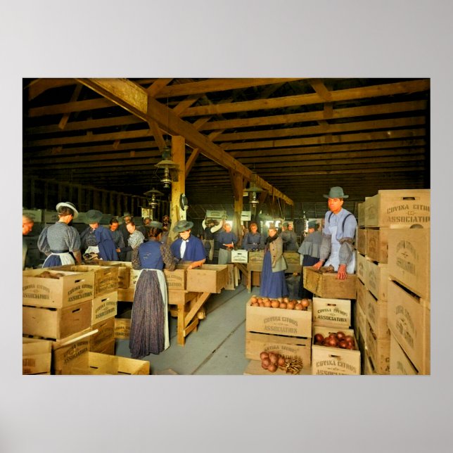 Orange Packing House Probably Covina California ca Poster (Front)