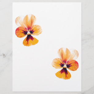 orange pansies flyer