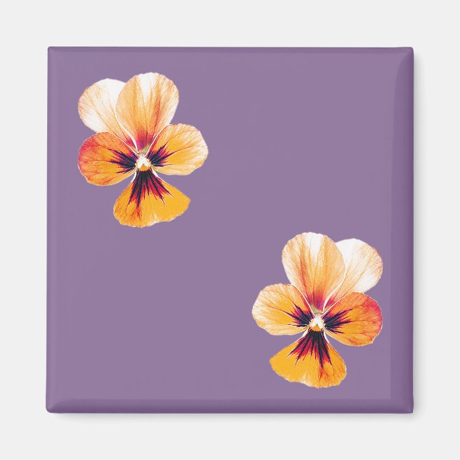 orange pansies magnet (Front)