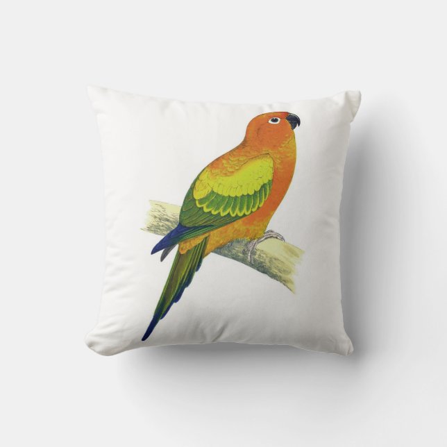 Orange Parrot Pillow No.10 (Front)
