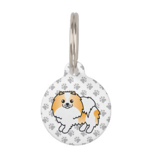 Orange Parti-Colour Pomeranian Dog & Pet's Info Pet Tag