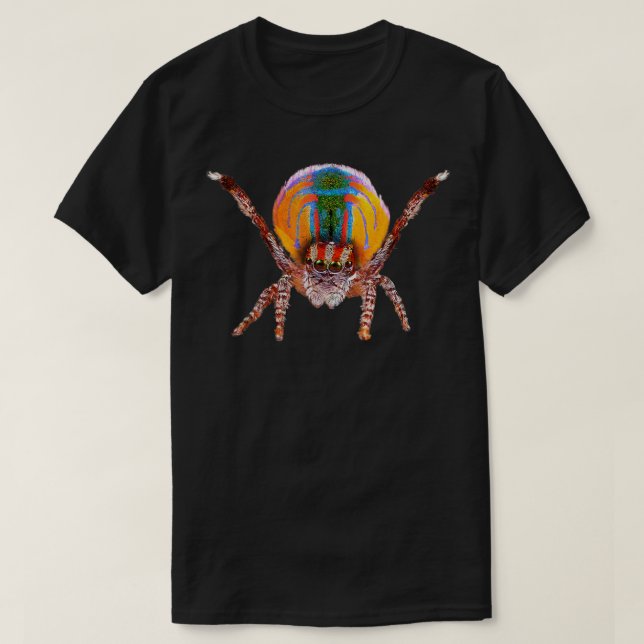 Orange Peacock Spider  T-Shirt (Design Front)