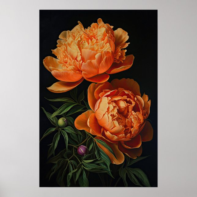 Orange Peonies Flower Art Print Poster (Front)