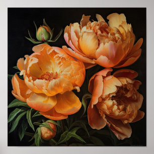 Orange Peonies Flower Art Print Poster