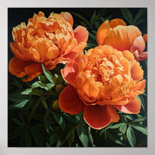 Orange Peonies Flower Art Print Poster