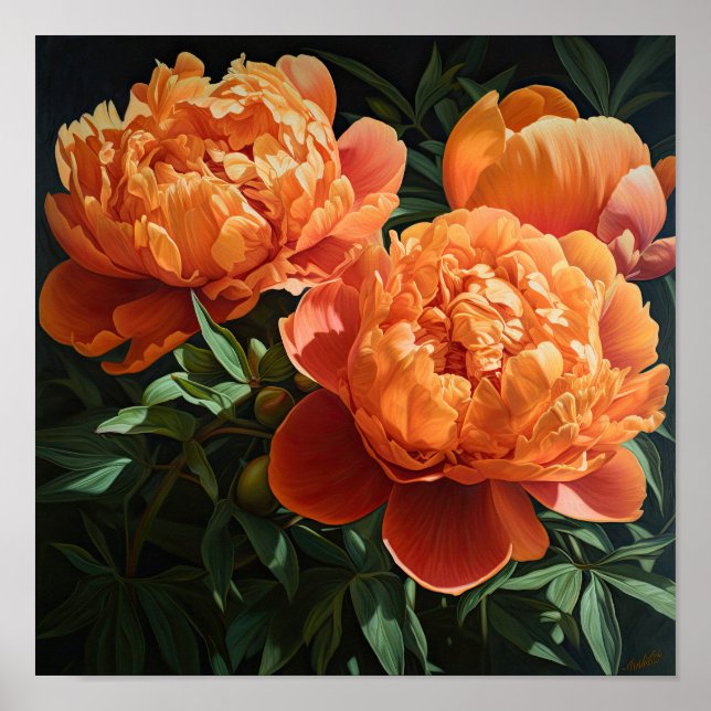Orange Peonies Flower Art Print Poster (Front)