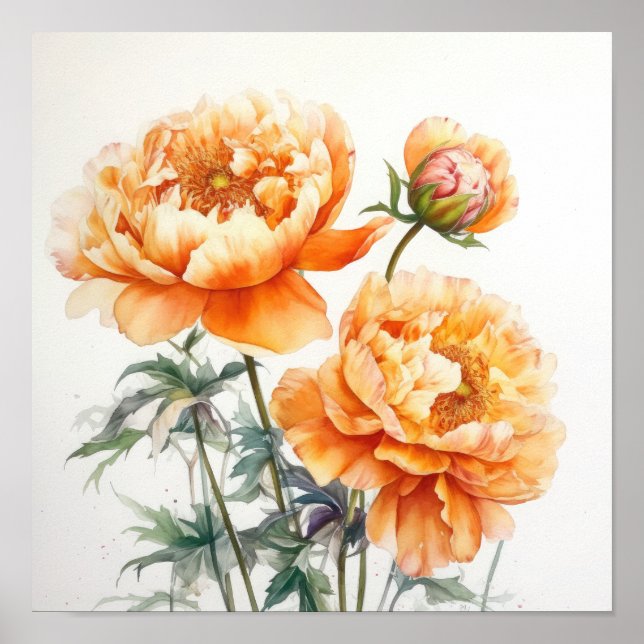 Orange Peonies Flower Art Print Poster (Front)