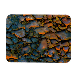 Orange Petrified dinosaur bone Magnet