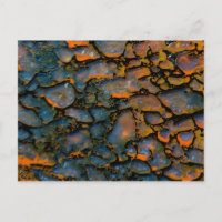 Orange Petrified dinosaur bone