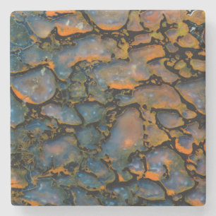Orange Petrified dinosaur bone Stone Coaster