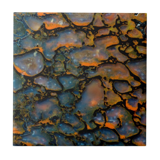 Orange Petrified dinosaur bone Tile (Front)