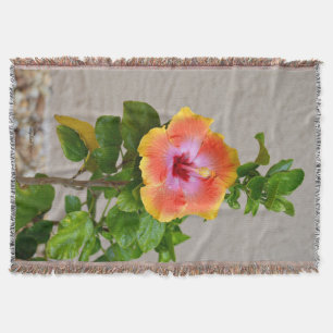 Orange pink Hibiscus flower Throw Blanket