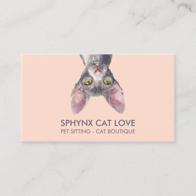 Orange Pink Sphynx Cat Business Card (Front)