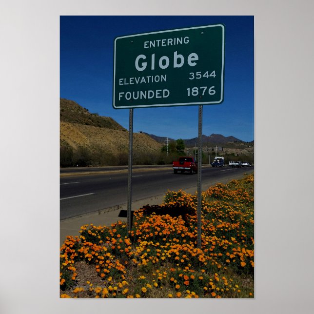 Orange Poppies Blooming In Globe Arizona Poster (Front)