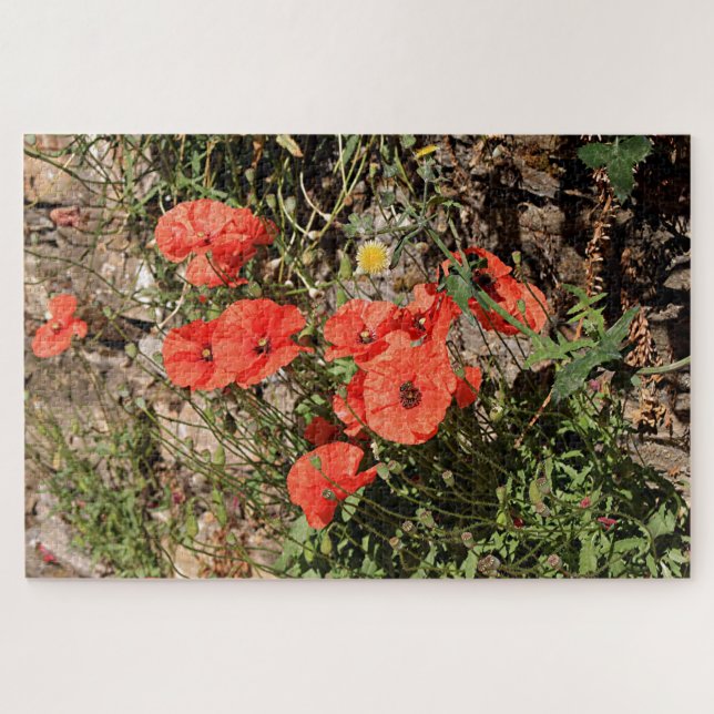 Orange poppies on El Camino Jigsaw Puzzle (Horizontal)