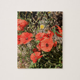 Orange poppies on El Camino Jigsaw Puzzle