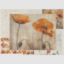 Orange Poppies & Plaid for Decoupage or Giftwrap