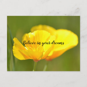 Orange Poppies Postcard