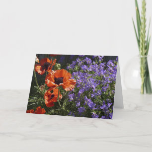 Orange Poppy Blank All Occasion Poppies Greeting  Card