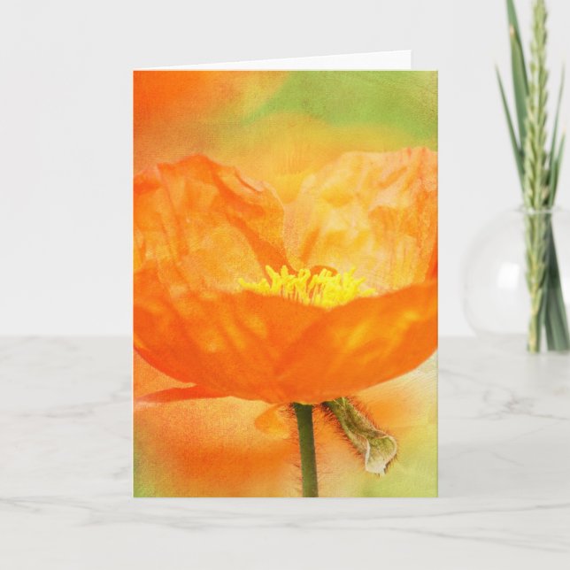Orange Poppy Card (Front)