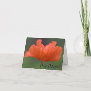 Orange Poppy Change of Address Announcement