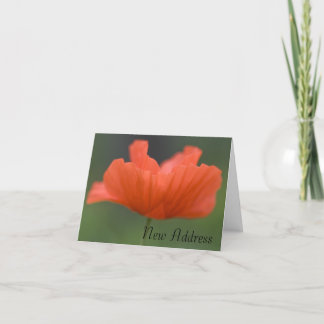 Orange Poppy Change of Address Announcement