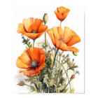 Orange Poppy Flowers Art Print Poster