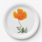 orange poppy