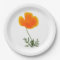 orange poppy