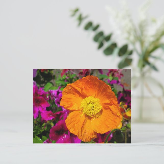 Orange Poppy postcard (Standing Front)