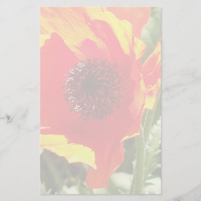 Orange Poppy Stationery (Front)