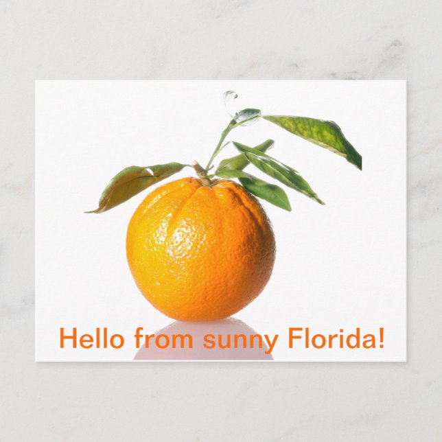 Orange postcard - hello from sunny Florida! (Front)