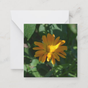Orange Pot Marigold Flower (Calendula officinalis) Card