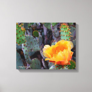 Orange prickly pear opuntia cactus flower photo canvas print