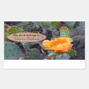 Orange prickly pear opuntia cactus flower photo rectangular sticker