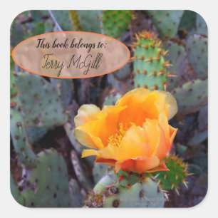 Orange prickly pear opuntia cactus flower photo square sticker