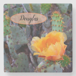 Orange Prickly Pear Opuntia Cactus Flower Photo Stone Coaster