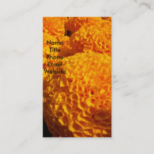 Orange Puff Profile Card