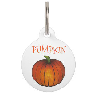 Orange Pumpkin Patch Thanksgiving Halloween Fall Pet Tag