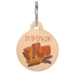 Orange Pumpkin Patch Thanksgiving Halloween Fall Pet Tag