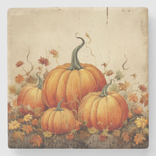 Orange Pumpkins Rustic Autumn Thanksgiving Stone Coaster