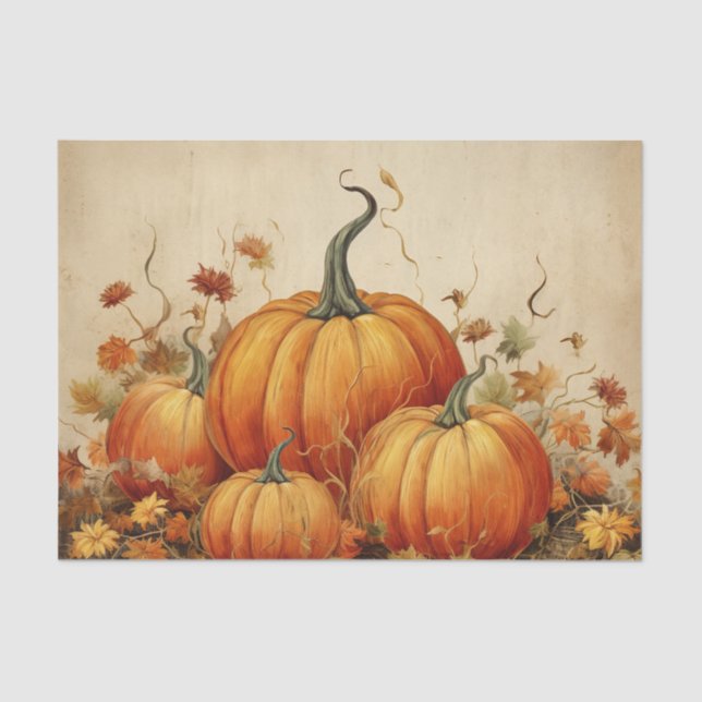 Orange Pumpkins Rustic Autumn Tissue Paper (Front)