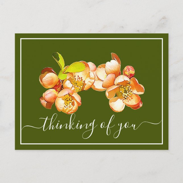 Orange Quince Green Background Thinking Of You Postcard (Front)