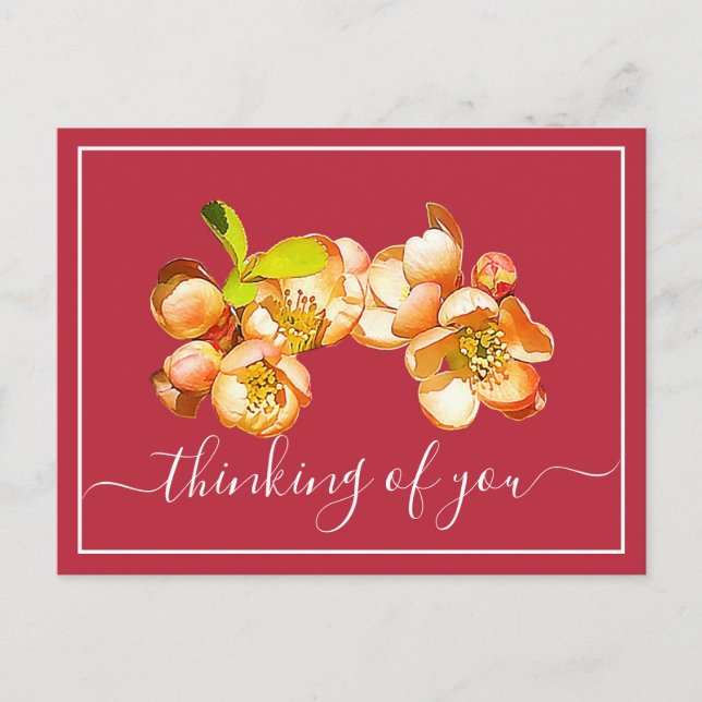 Orange Quince Pink Background Thinking Of You Postcard (Front)