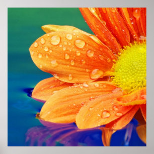 Orange Raindrops Photograph Poster